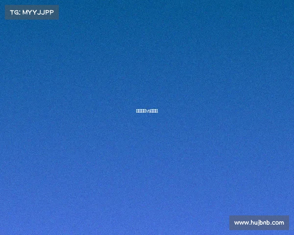 小查维兹vs席尔瓦